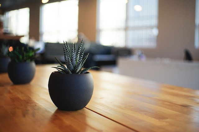 A black flower vase containing a plant, sitting on a table.